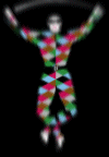 Harlequins